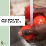 Lassa Fever: Causes, Symptoms, Diagnosis and Prevention