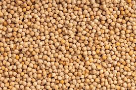 Chickpeas