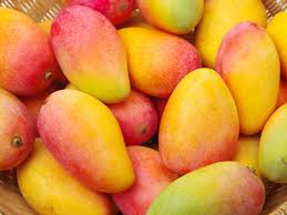 Mangoes